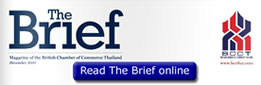 Read The Brief Online